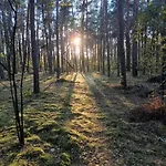 Camping Wood Brochów