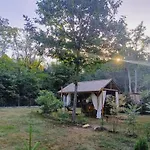 Wood Camping