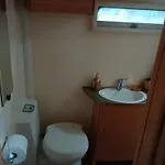 Camping Wood