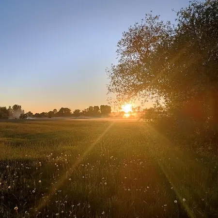 Camping Wood Brochów