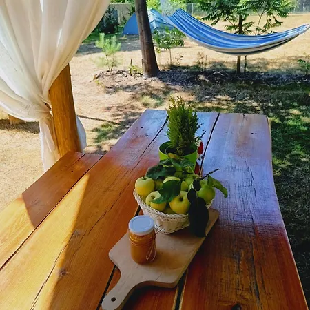 Wood Brochów