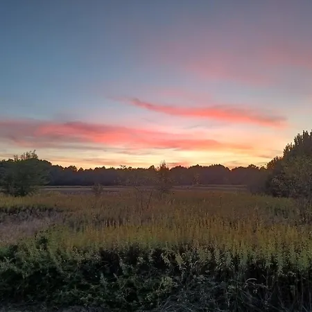 Wood Camping Brochów